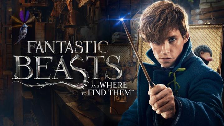مشاهدة فيلم Fantastic Beasts and Where to Find Them 1 2016 مترجم شاهد فور يو
