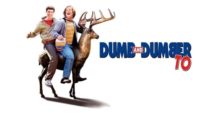 مشاهدة فيلم Dumb and Dumber To 2014 مترجم شاهد فور يو