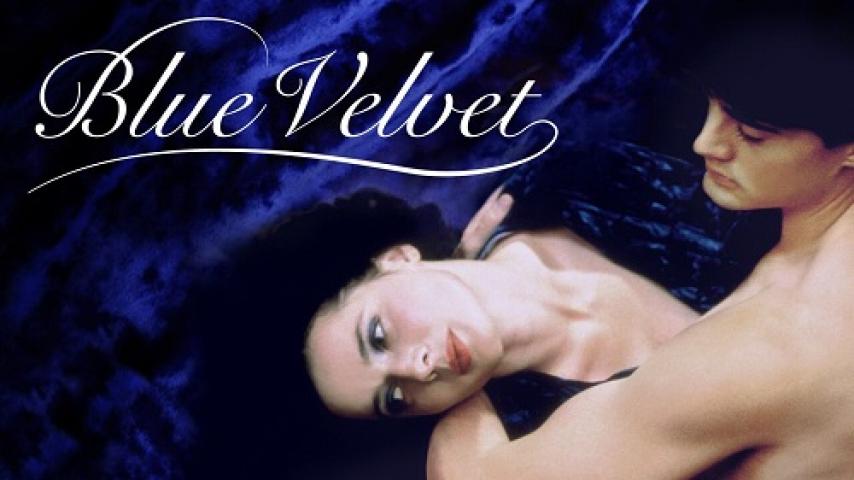 مشاهدة فيلم Blue Velvet 1986 مترجم شاهد فور يو